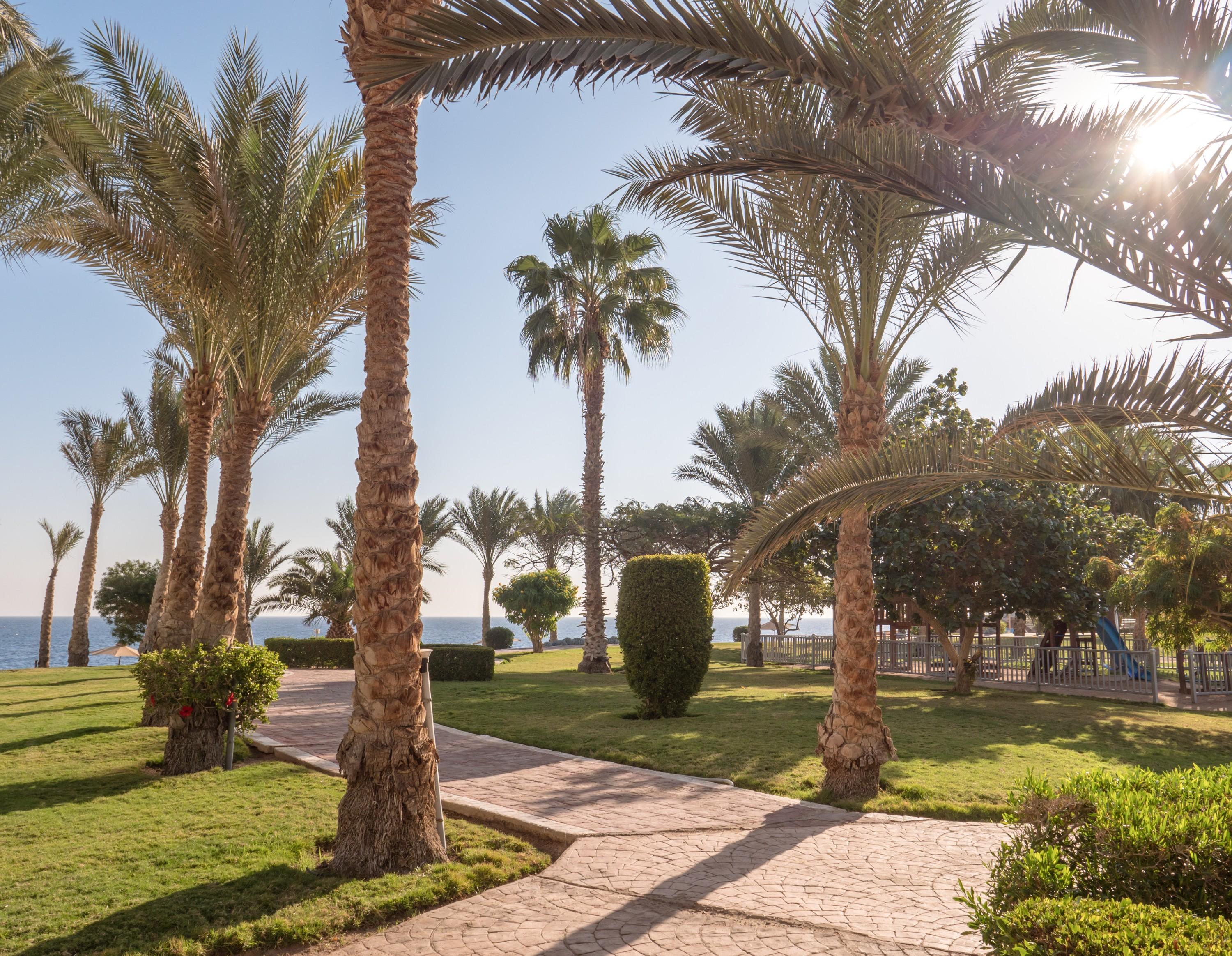 Serenity Alpha Beach - Ex Serenity Makadi Beach Kültér fotó Palm trees in the park